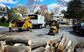 How Our Tree Care Process Works  in  Hudson Lake, IN